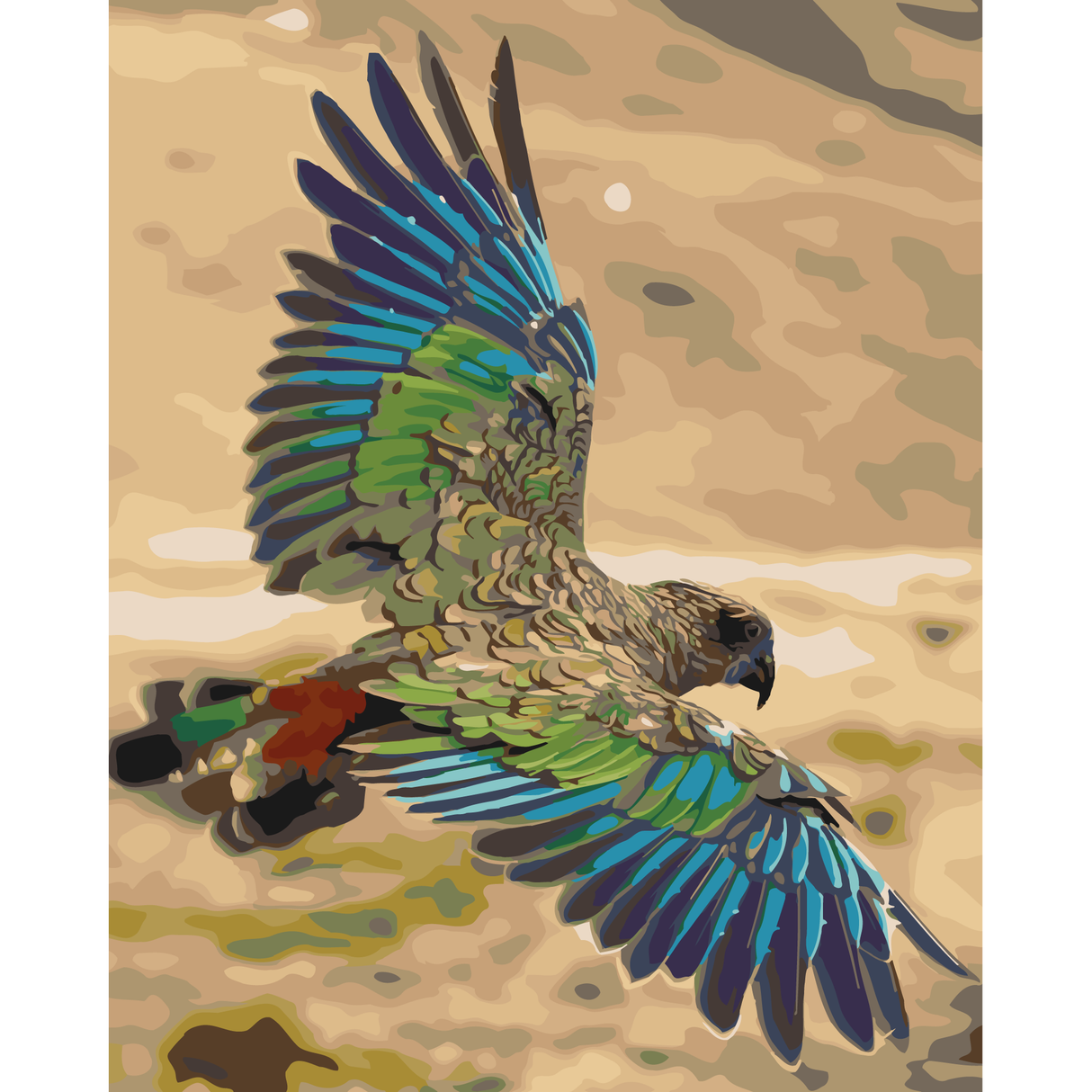 Kiwi Paint By Numbers - Kea