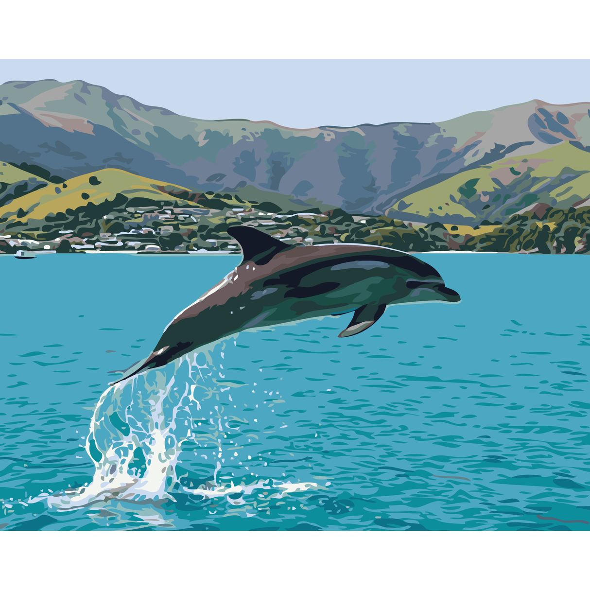Kiwi Paint By Numbers - Common Dolphin