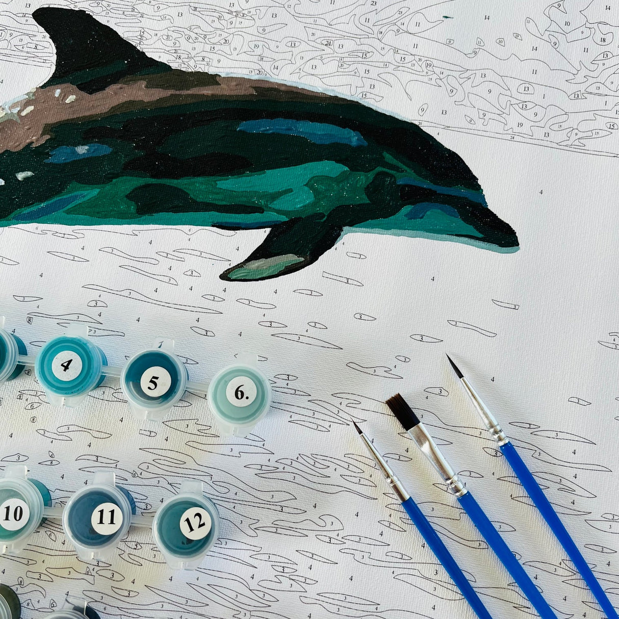 Kiwi Paint By Numbers - Common Dolphin