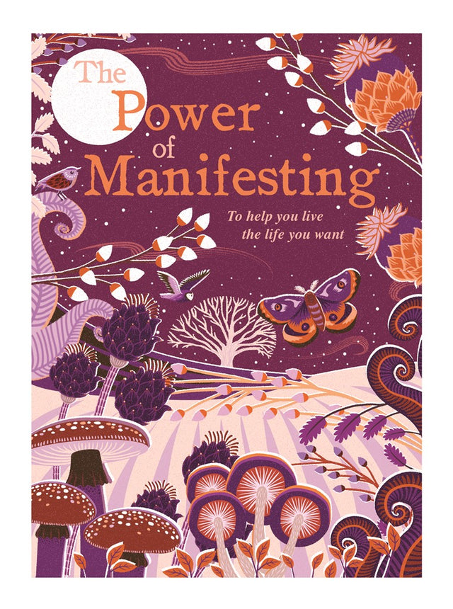 The Power Of Manifesting