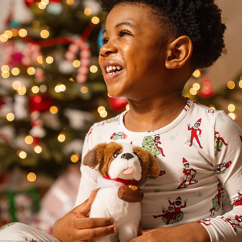 Elf Pets: A St. Bernard Tradition - Book & Toy Box Set