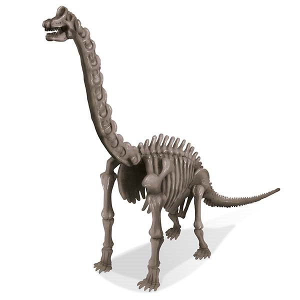 4M: KidzLabs Dig A Brachiosaurus Skeleton
