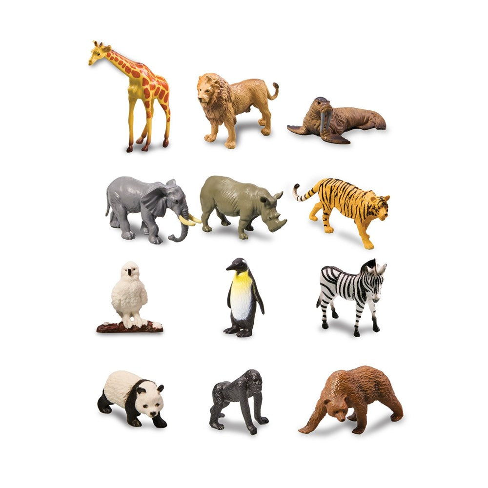 4M: Kidzlabs Wildlife Animal Digging Kit