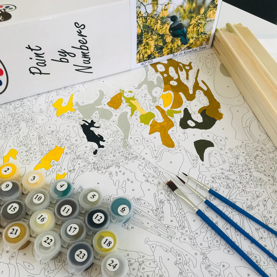 Kiwi Paint By Numbers - Tui in Kowhai Tree