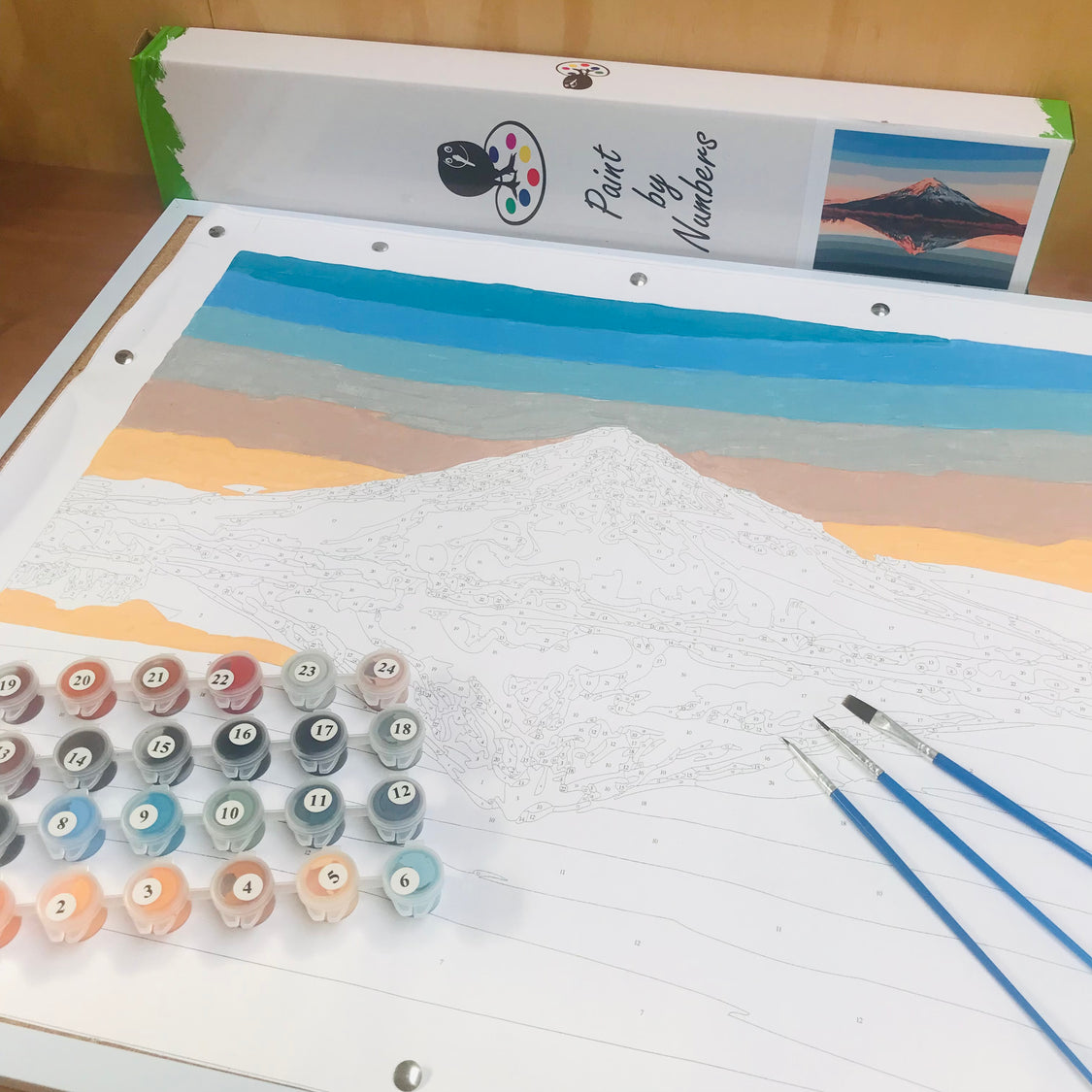 Kiwi Paint By Numbers - Mount Taranaki