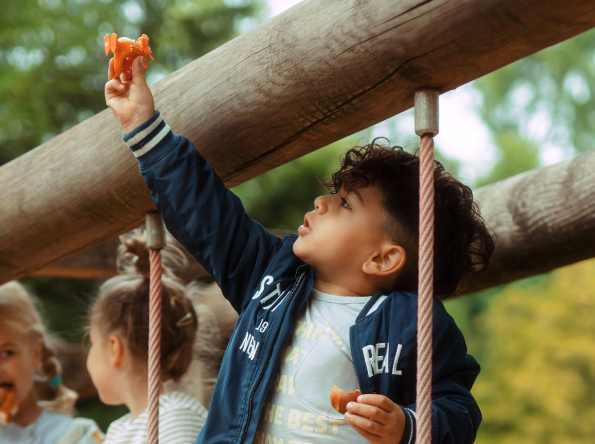 tonies: Julia Donaldson - Zog Tonie Audio Character