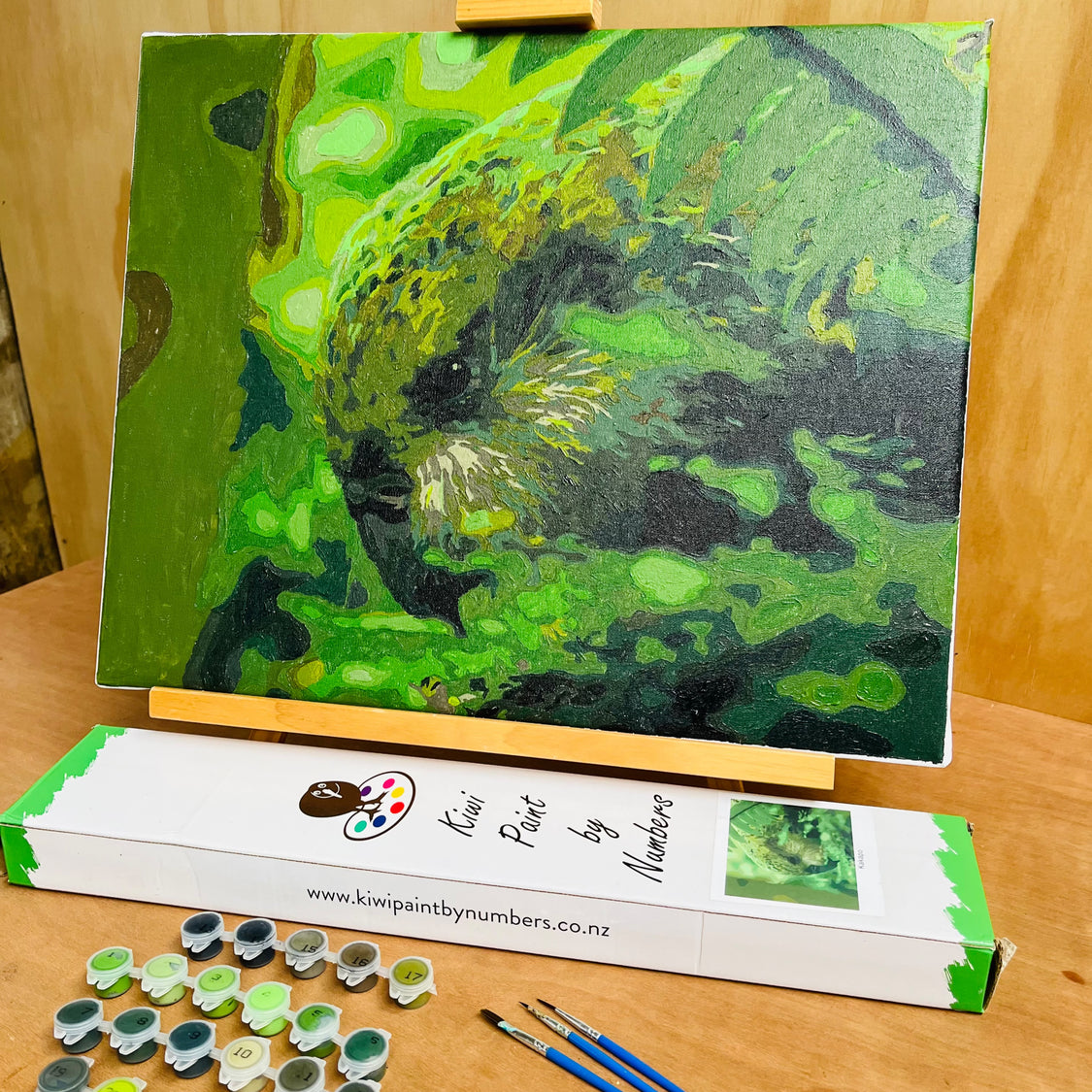 Kiwi Paint By Numbers - Kakapo