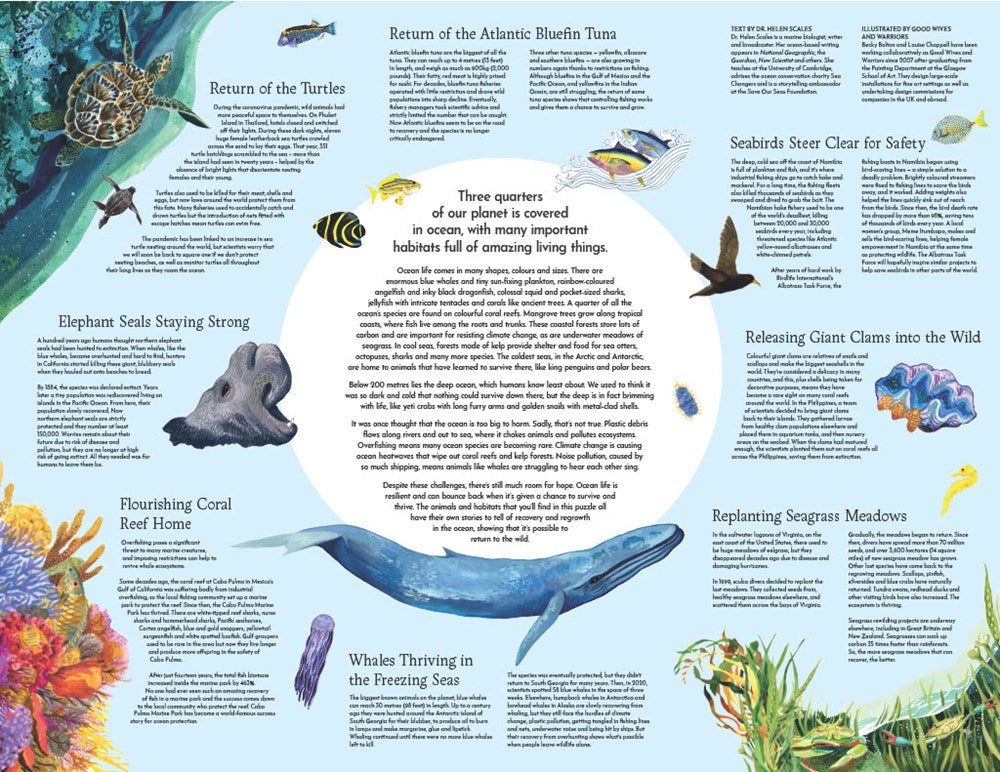 Wild Seas Jigsaw - 1000 Piece Jigsaw Puzzle