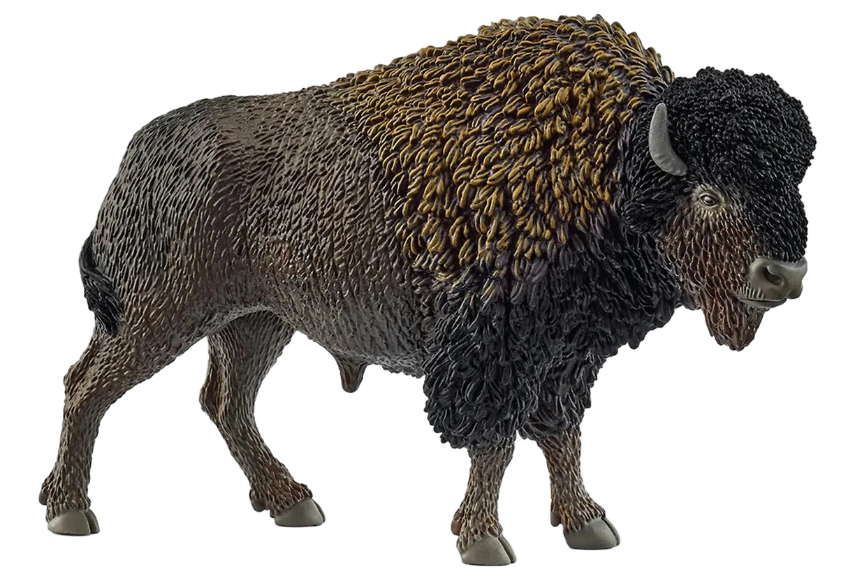 Schleich - Bison
