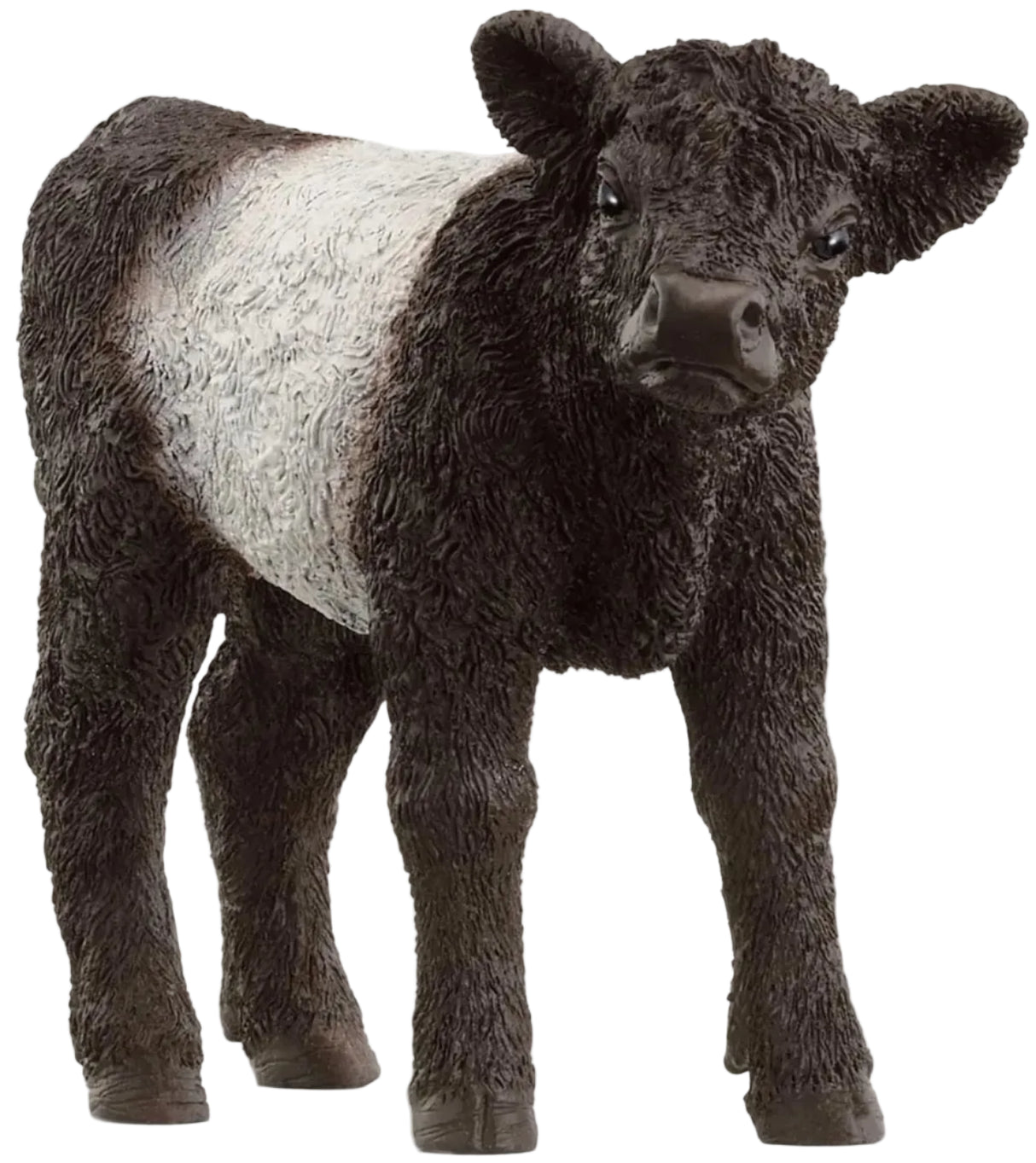 Schleich - Galloway Calf