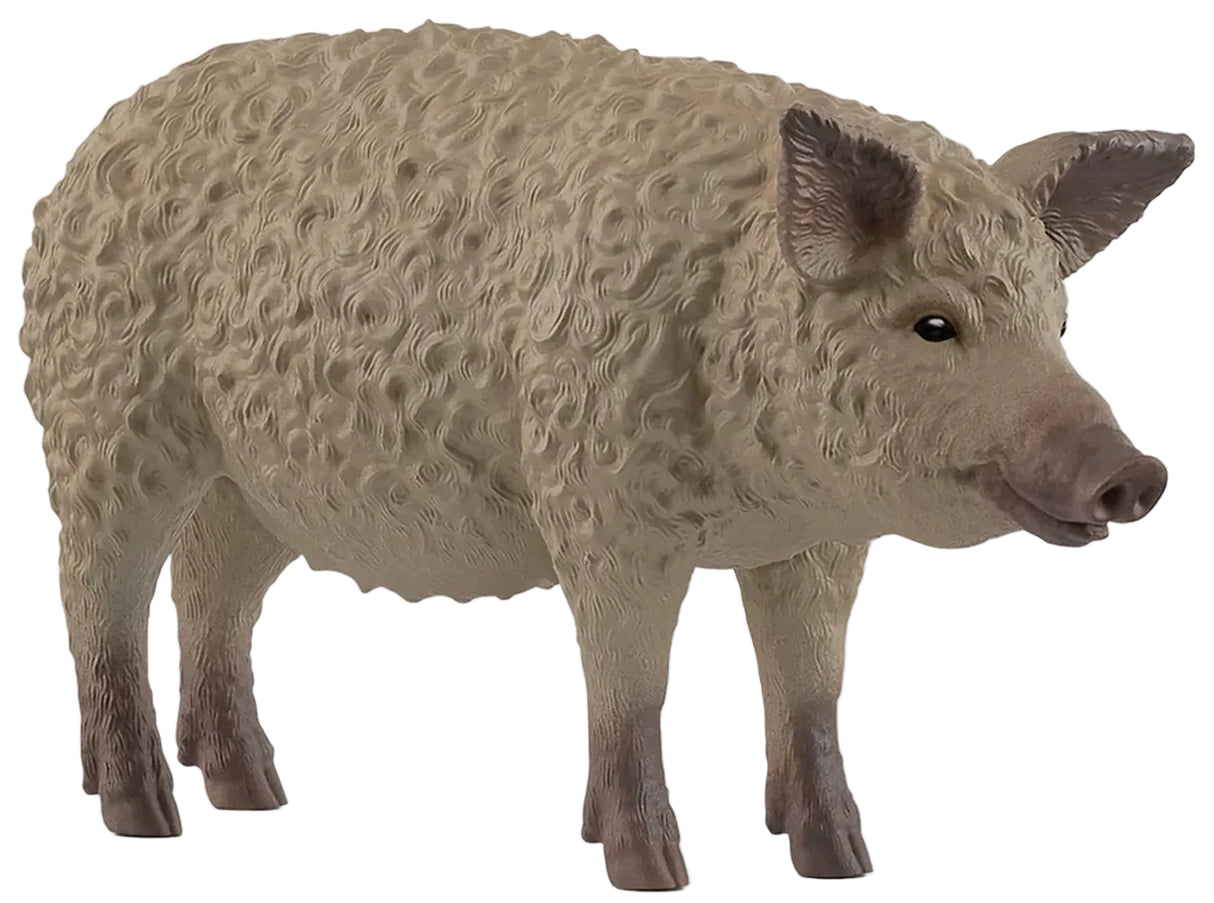 Schleich - Mangalica