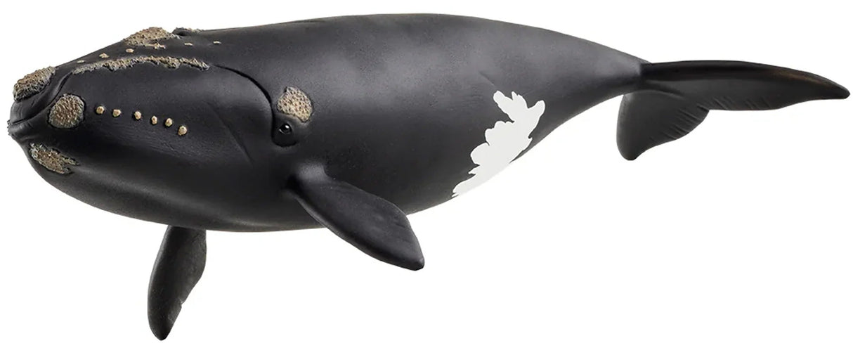 Schleich - North Atlantic Right Whale