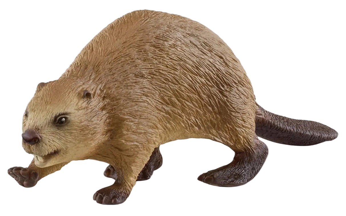 Schleich - Beaver