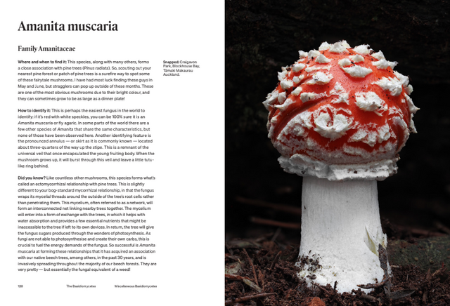 The Secret Life of Fungi