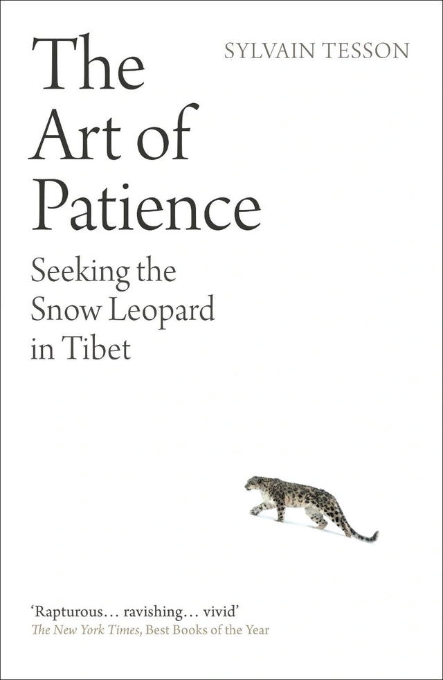 The Art of Patience