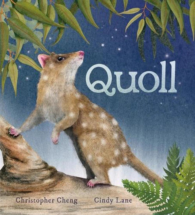 Quoll