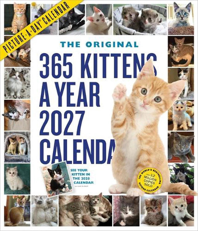 365 Kittens-A-Year Picture-A-Day® Wall Calendar 2027