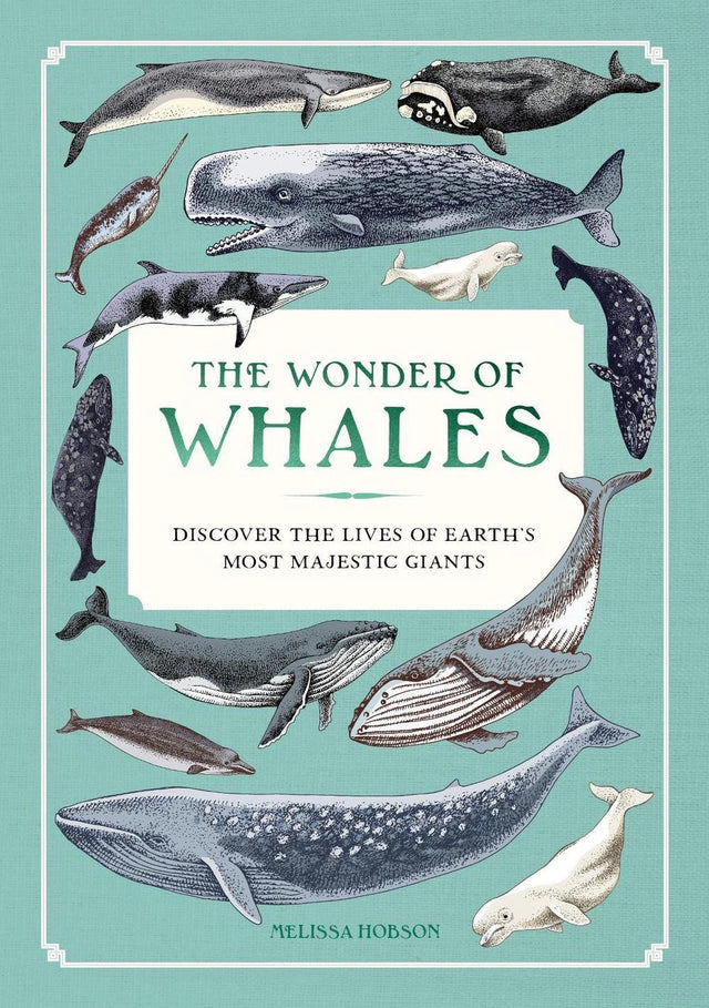 The Wonder of Whales