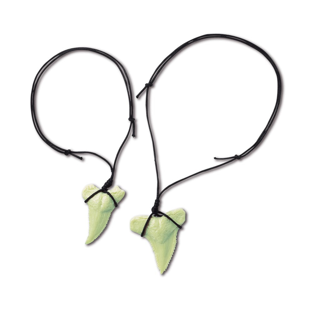 4M: KidzLabs Dig a Glow Shark Tooth