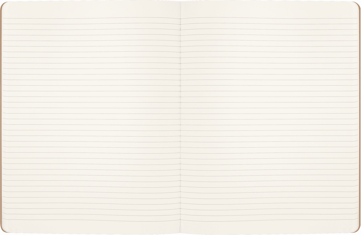 Moleskine LE Harry Potter Cahier Notebook XL Wingardum