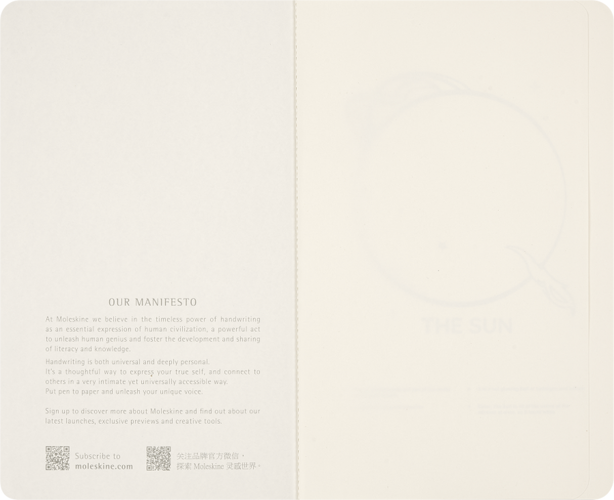 Moleskine LE NASA Large Volant Journal Plain Glow in the Dark