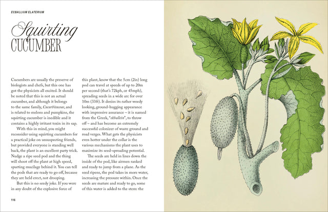 Botanica Erotica