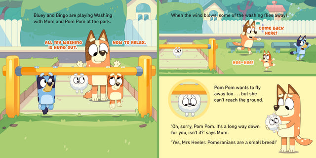 Bluey: Seesaw