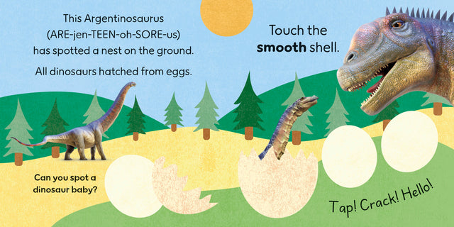 Touch and Feel Dinosaur