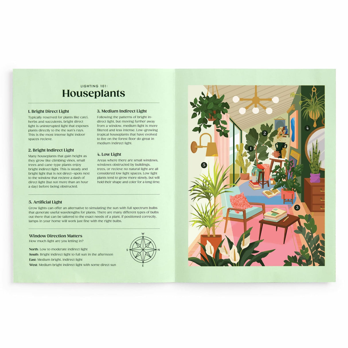 Galison Lighting 101: Houseplants Book Puzzle - 500 Piece