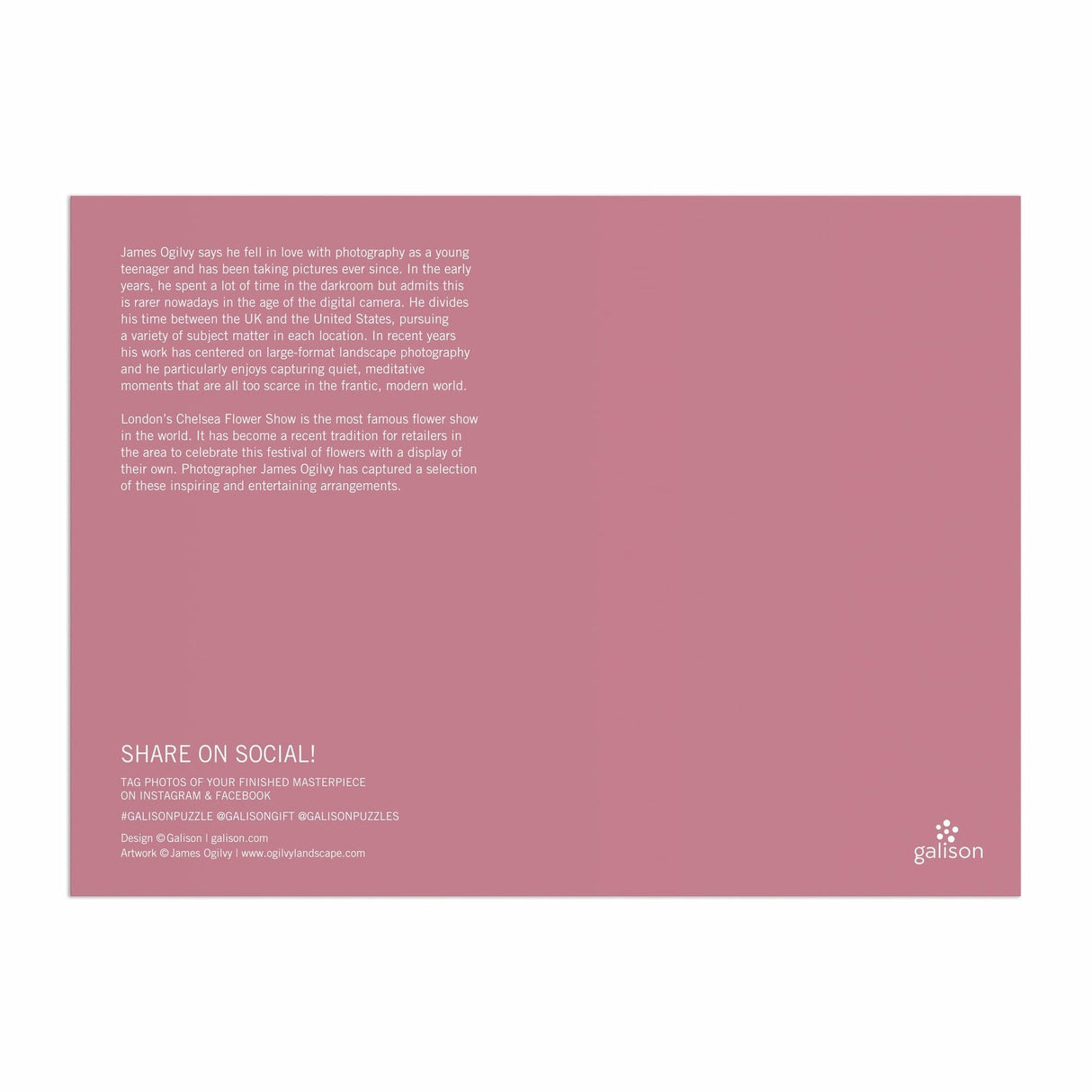 Galison London in Bloom Puzzle - 1000 Piece