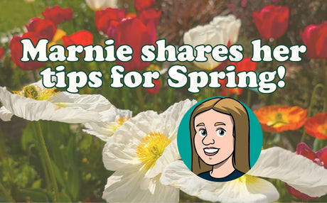 Marnie shares her tips for Spring!