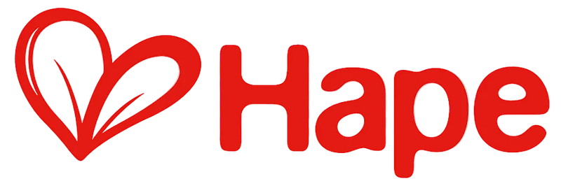 Hape Role Play