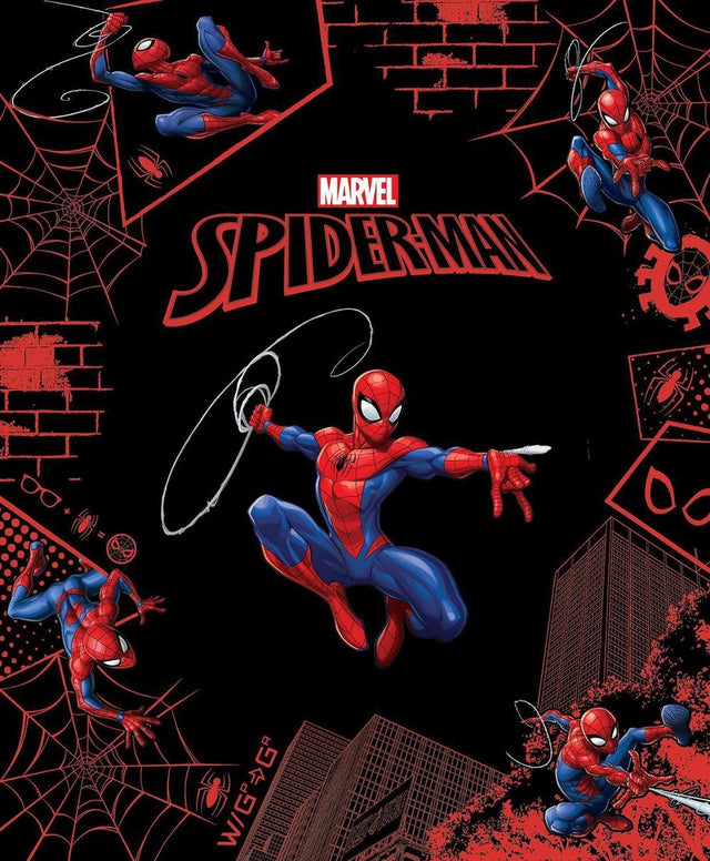 Spider-Man (Marvel: Legends Collection)