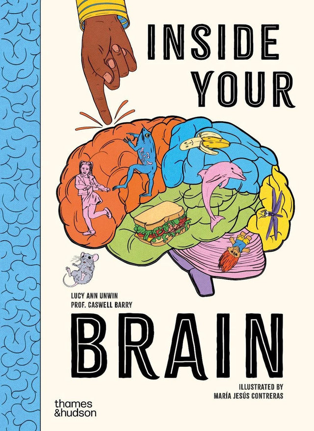 Inside Your Brain