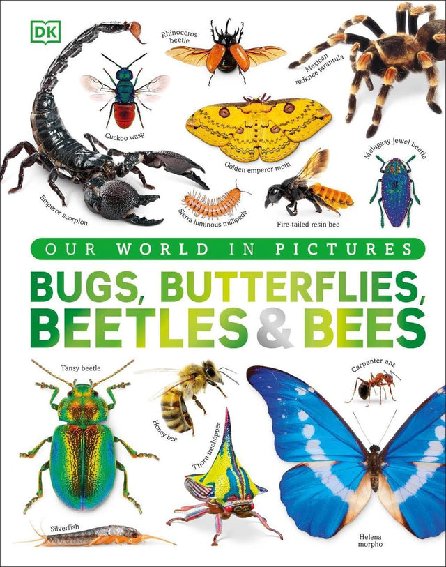 Our World in Pictures Bugs, Butterflies, Beetles and Bees
