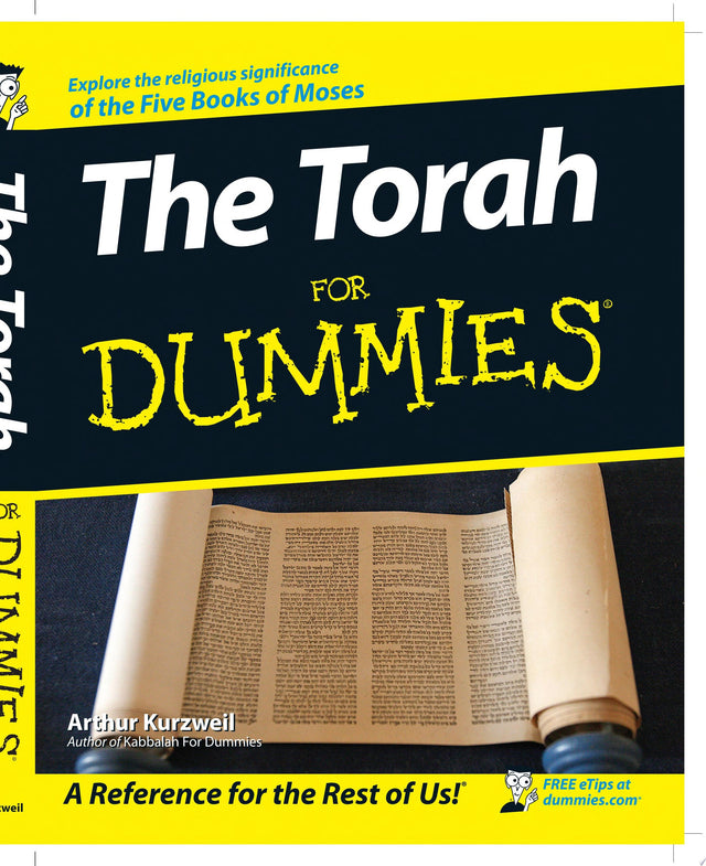 The Torah For Dummies