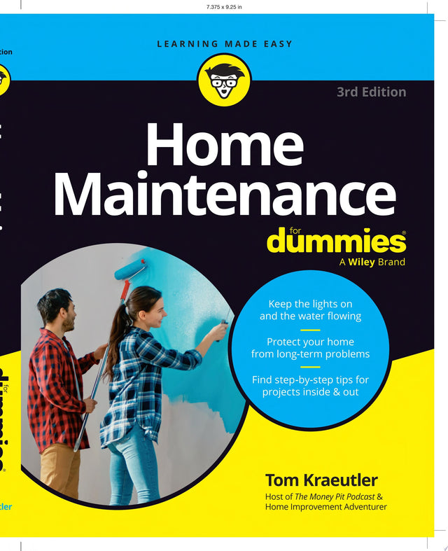 Home Maintenance For Dummies