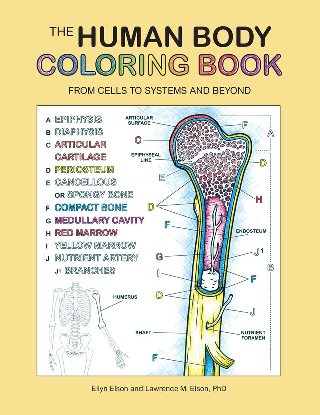 The Human Body Coloring Book