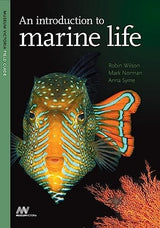 An Introduction to Marine Life