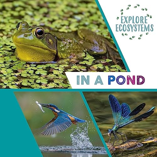 Explore Ecosystems: In a Pond