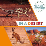 Explore Ecosystems: In a Desert