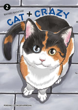 Cat + Crazy Volume 2
