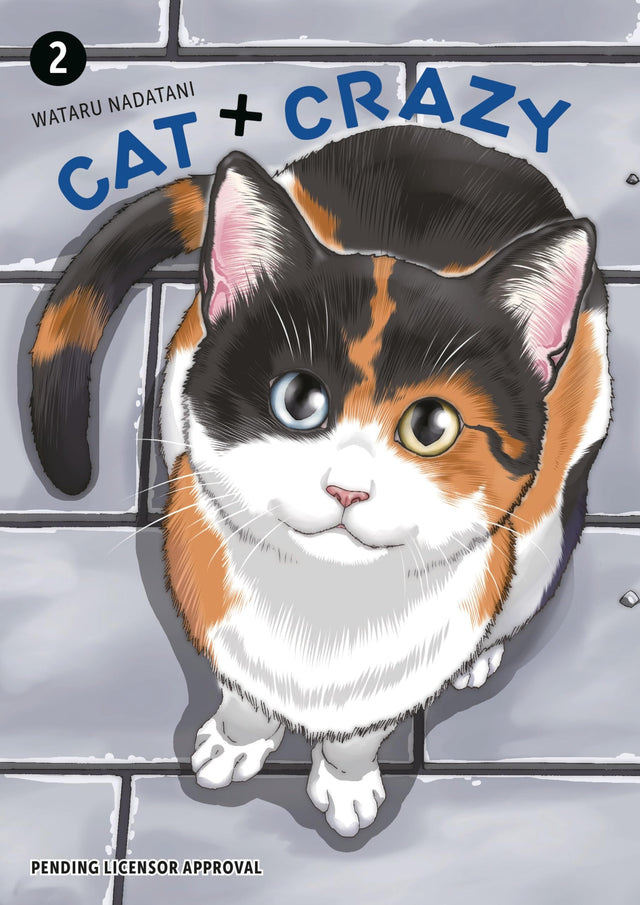 Cat + Crazy Volume 2