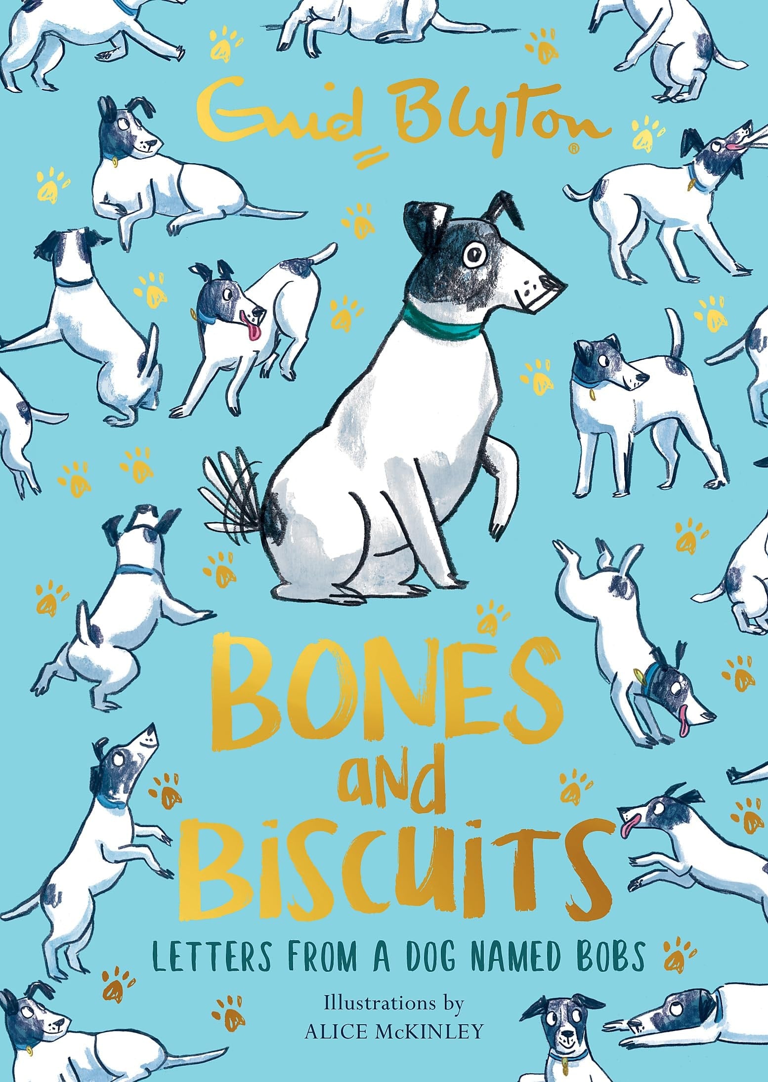 Bones and Biscuits by Enid Blyton – Book Hero