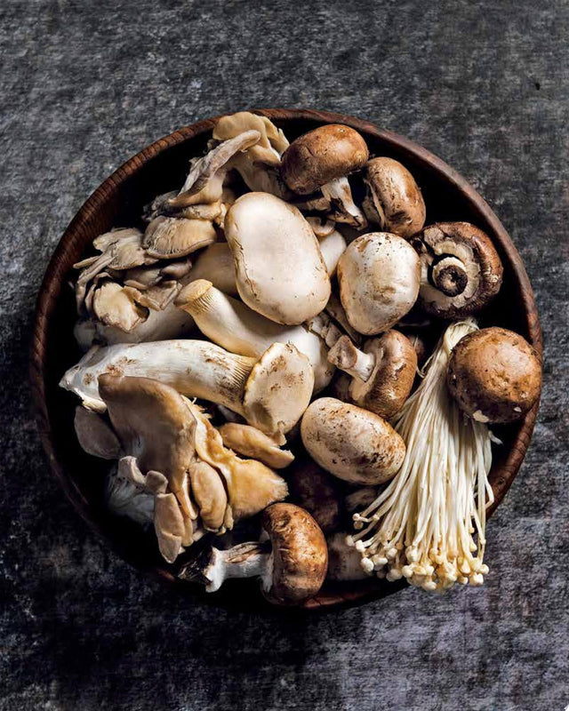 Fantastic Fungi Community Cookbook