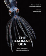The Radiant Sea