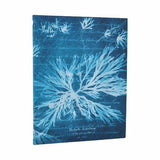 Sea Flowers (Anna Atkins’ Cyanotypes) Ultra Lined Softcover Journal (Elastic Band Closure)