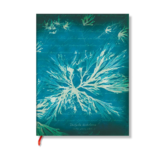 Sea Flowers (Anna Atkins’ Cyanotypes) Ultra Unlined Softcover Journal (Elastic Band Closure)