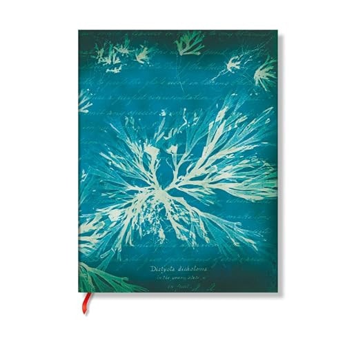 Sea Flowers (Anna Atkins’ Cyanotypes) Mini Lined Softcover Journal (Elastic Band Closure)
