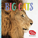 Big Cats